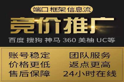案例分析：SEM广告助力电商行业突破